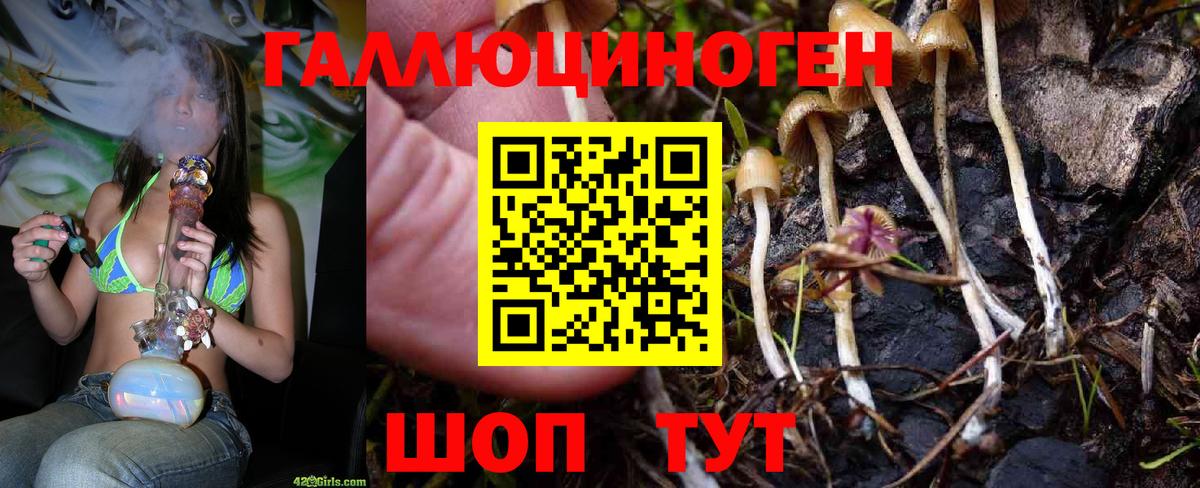 Псилоцибиновые грибы Magic Shrooms  Вход с VPN  Павловский Посад 