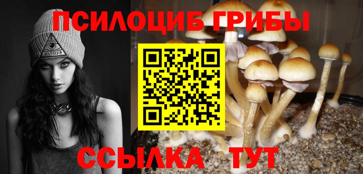 Галлюциногенные грибы Cubensis Павловский Посад